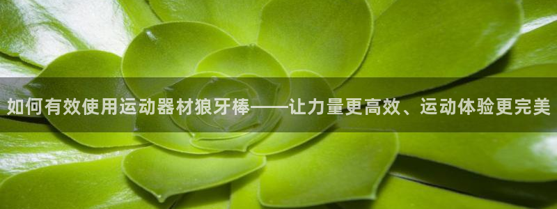 球客岛官网下载平台是正规平台吗安全吗:如何有效使用运动器材狼